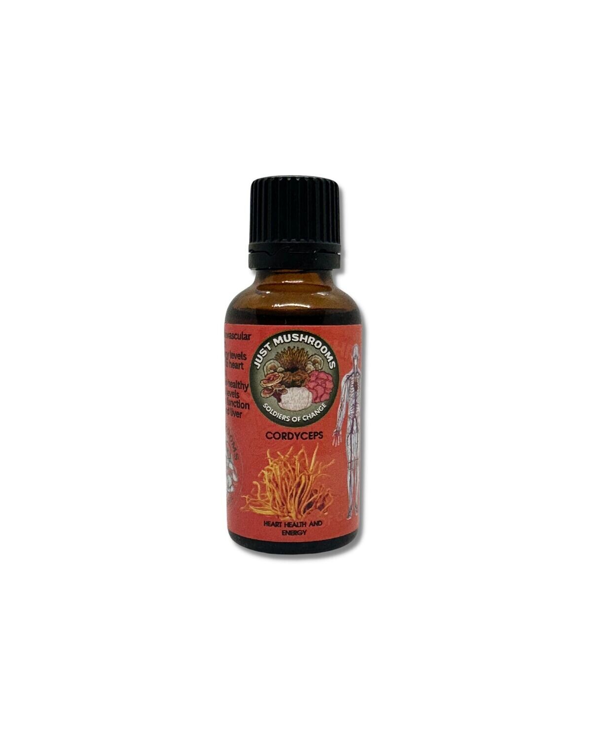 Cordyceps Mushroom Tincture (30ml)