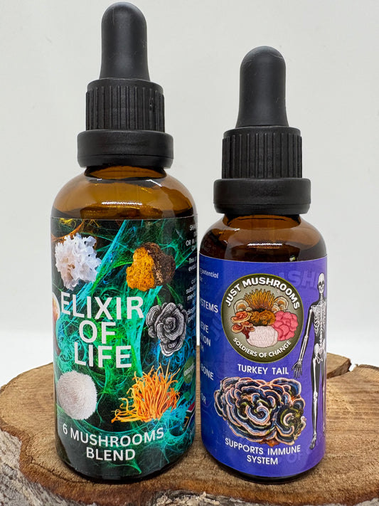 Turkey Tail Mushroom Elixir Combo (50ml+30ml)
