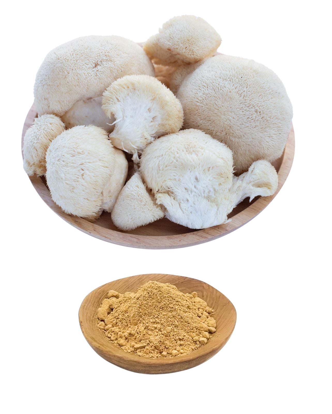 500g Activated Lions mane powder